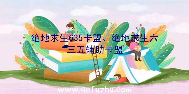 绝地求生635卡盟、绝地求生六三五辅助卡盟