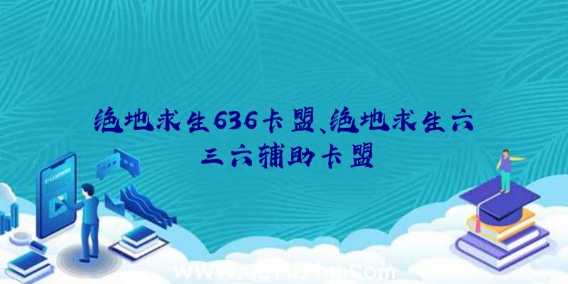 绝地求生636卡盟、绝地求生六三六辅助卡盟