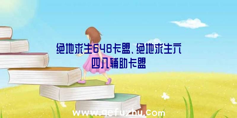 绝地求生648卡盟、绝地求生六四八辅助卡盟