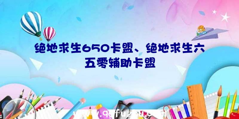 绝地求生650卡盟、绝地求生六五零辅助卡盟