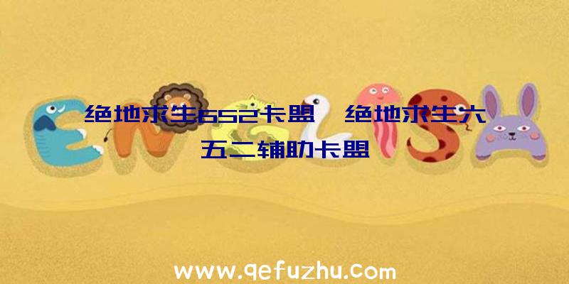 绝地求生652卡盟、绝地求生六五二辅助卡盟