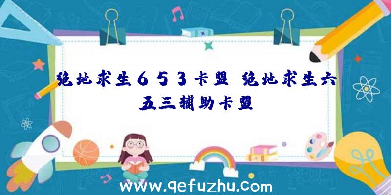 绝地求生653卡盟、绝地求生六五三辅助卡盟