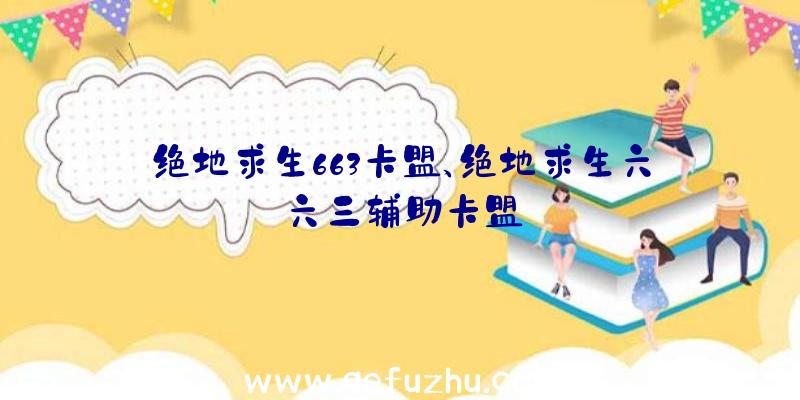 绝地求生663卡盟、绝地求生六六三辅助卡盟