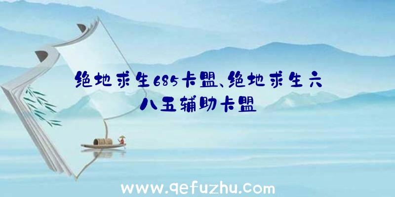 绝地求生685卡盟、绝地求生六八五辅助卡盟