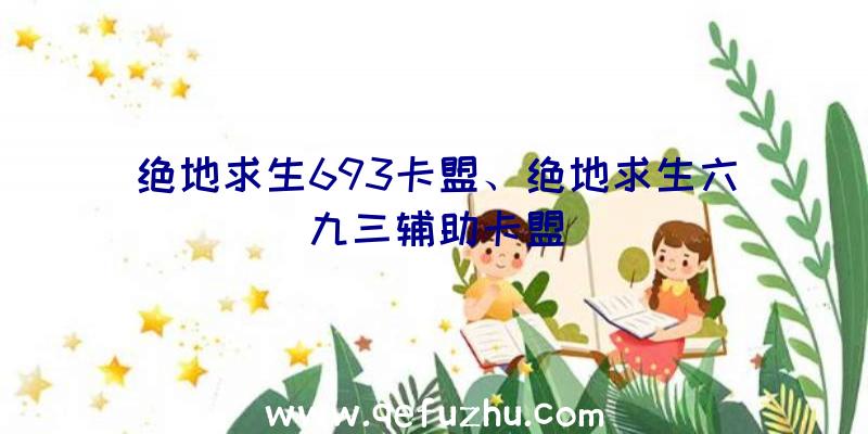 绝地求生693卡盟、绝地求生六九三辅助卡盟