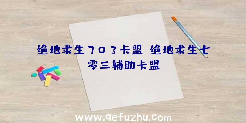 绝地求生703卡盟、绝地求生七零三辅助卡盟