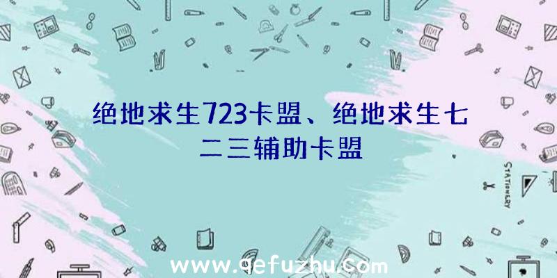 绝地求生723卡盟、绝地求生七二三辅助卡盟