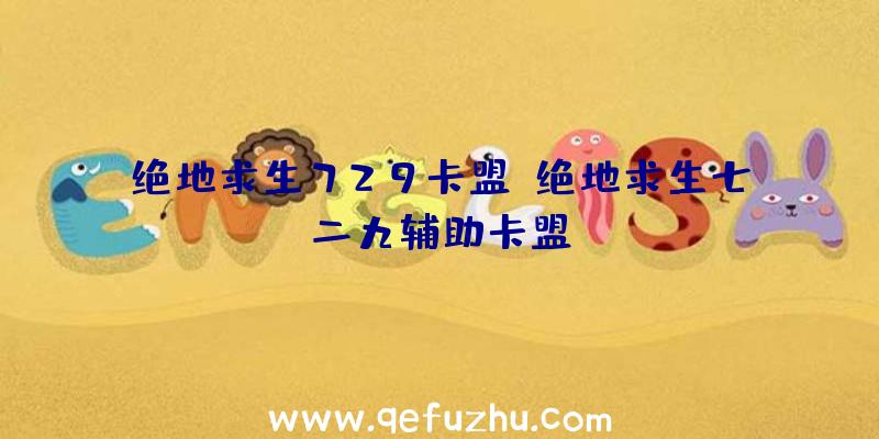 绝地求生729卡盟、绝地求生七二九辅助卡盟