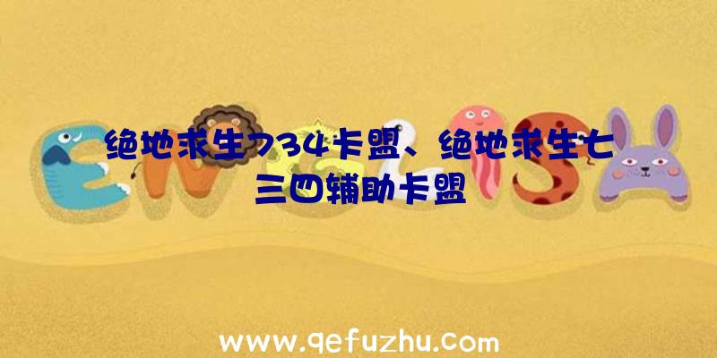 绝地求生734卡盟、绝地求生七三四辅助卡盟