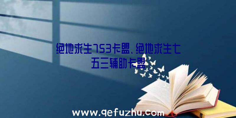 绝地求生753卡盟、绝地求生七五三辅助卡盟