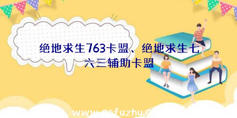 绝地求生763卡盟、绝地求生七六三辅助卡盟