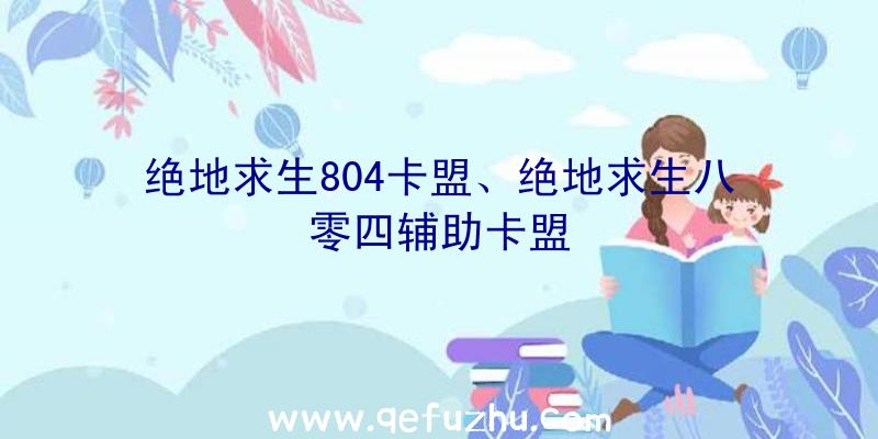 绝地求生804卡盟、绝地求生八零四辅助卡盟