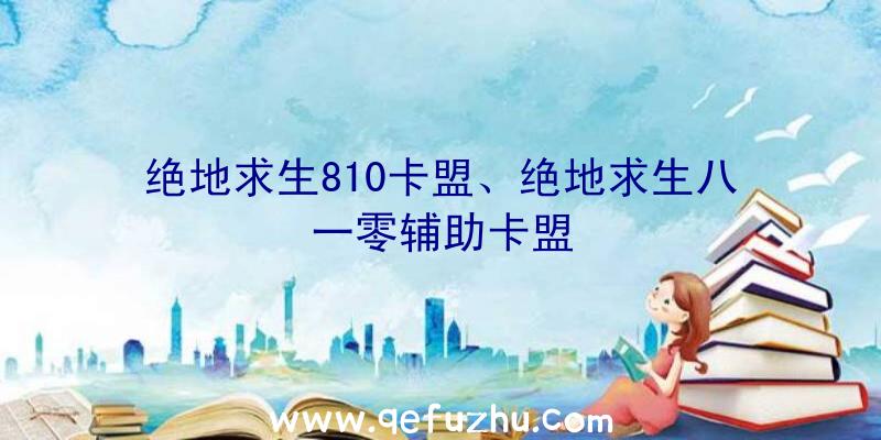 绝地求生810卡盟、绝地求生八一零辅助卡盟