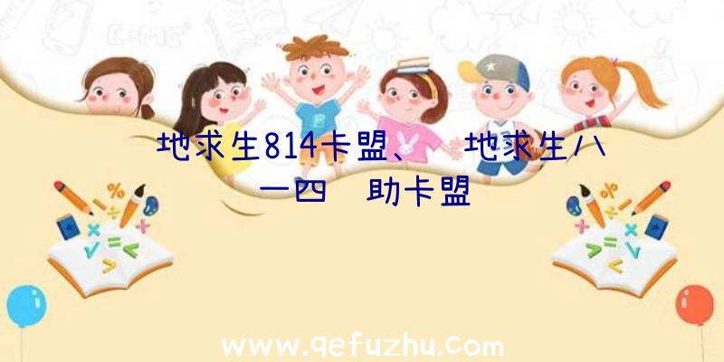 绝地求生814卡盟、绝地求生八一四辅助卡盟