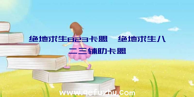 绝地求生823卡盟、绝地求生八二三辅助卡盟