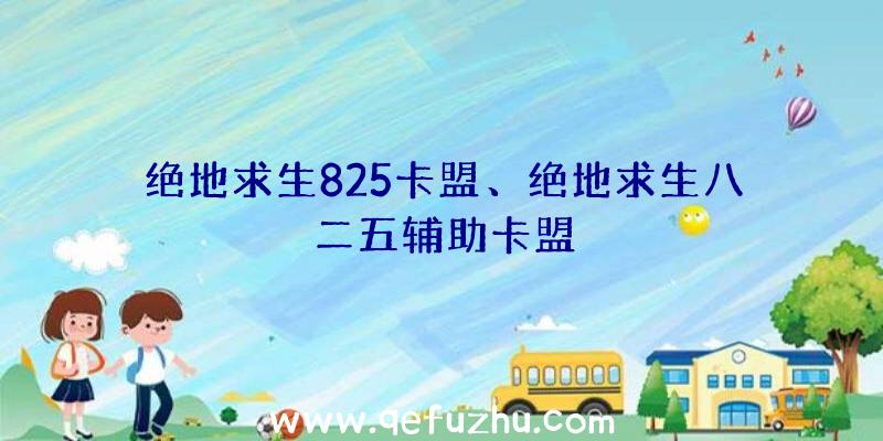 绝地求生825卡盟、绝地求生八二五辅助卡盟