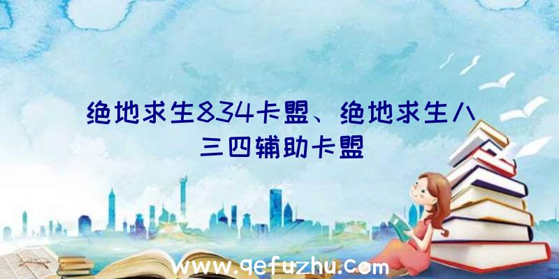 绝地求生834卡盟、绝地求生八三四辅助卡盟