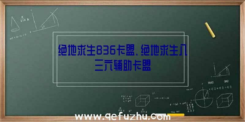 绝地求生836卡盟、绝地求生八三六辅助卡盟