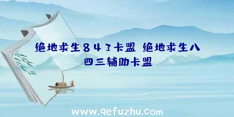 绝地求生843卡盟、绝地求生八四三辅助卡盟