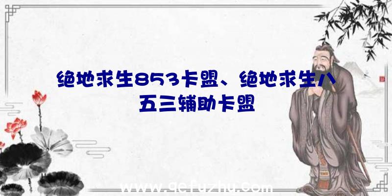 绝地求生853卡盟、绝地求生八五三辅助卡盟