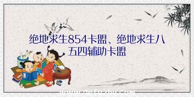 绝地求生854卡盟、绝地求生八五四辅助卡盟