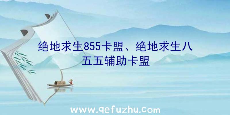 绝地求生855卡盟、绝地求生八五五辅助卡盟