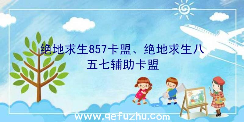 绝地求生857卡盟、绝地求生八五七辅助卡盟