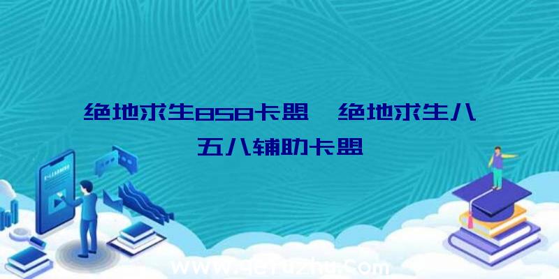 绝地求生858卡盟、绝地求生八五八辅助卡盟