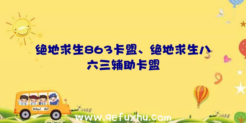 绝地求生863卡盟、绝地求生八六三辅助卡盟