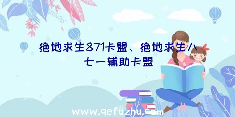 绝地求生871卡盟、绝地求生八七一辅助卡盟