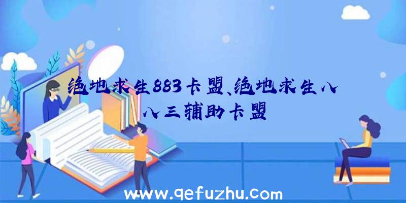 绝地求生883卡盟、绝地求生八八三辅助卡盟