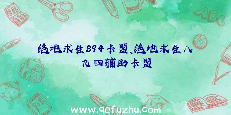 绝地求生894卡盟、绝地求生八九四辅助卡盟