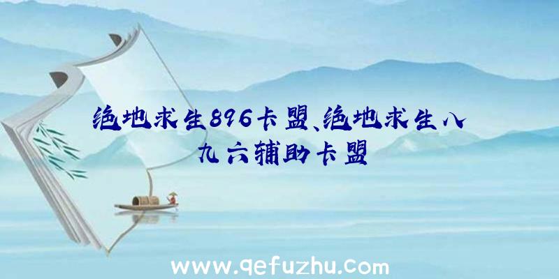 绝地求生896卡盟、绝地求生八九六辅助卡盟