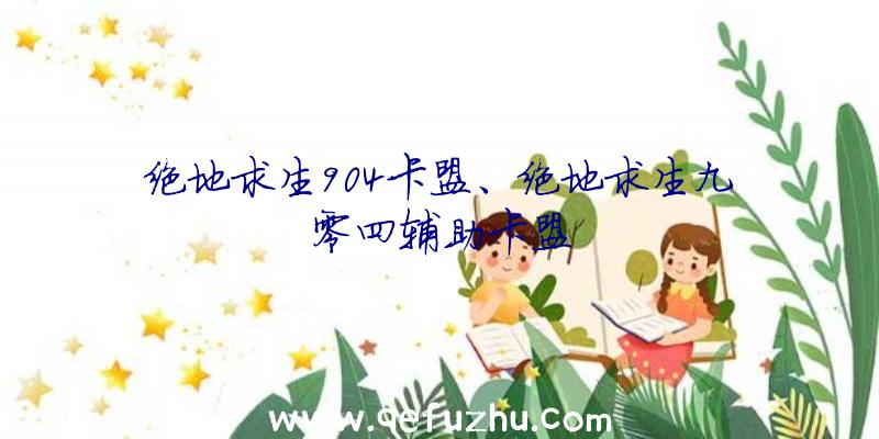 绝地求生904卡盟、绝地求生九零四辅助卡盟