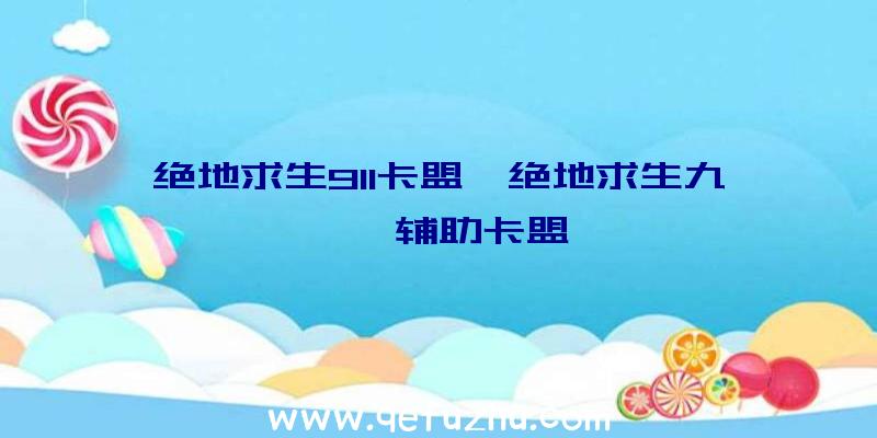 绝地求生911卡盟、绝地求生九一一辅助卡盟