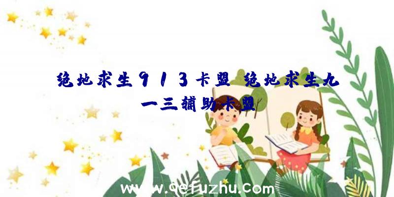 绝地求生913卡盟、绝地求生九一三辅助卡盟