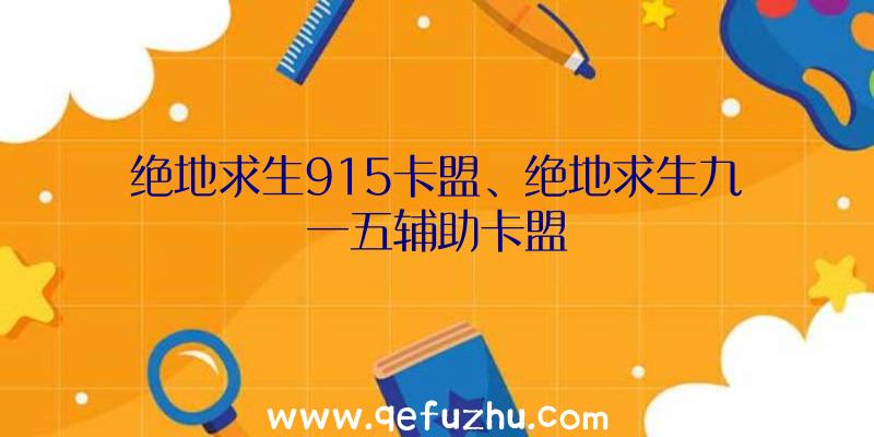 绝地求生915卡盟、绝地求生九一五辅助卡盟