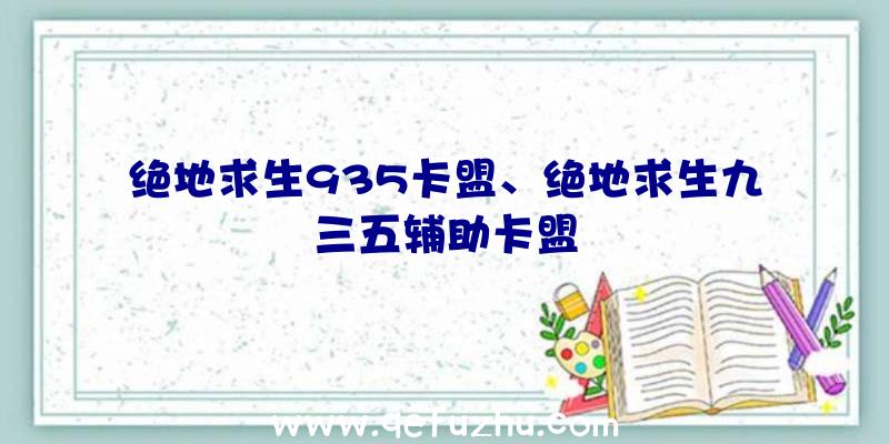 绝地求生935卡盟、绝地求生九三五辅助卡盟