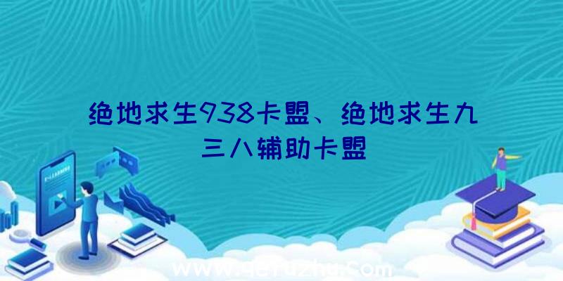 绝地求生938卡盟、绝地求生九三八辅助卡盟