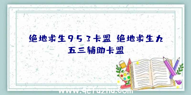 绝地求生953卡盟、绝地求生九五三辅助卡盟