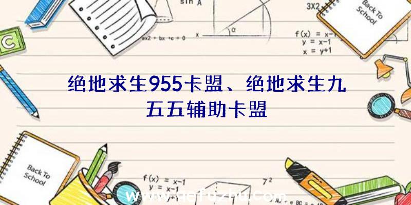 绝地求生955卡盟、绝地求生九五五辅助卡盟