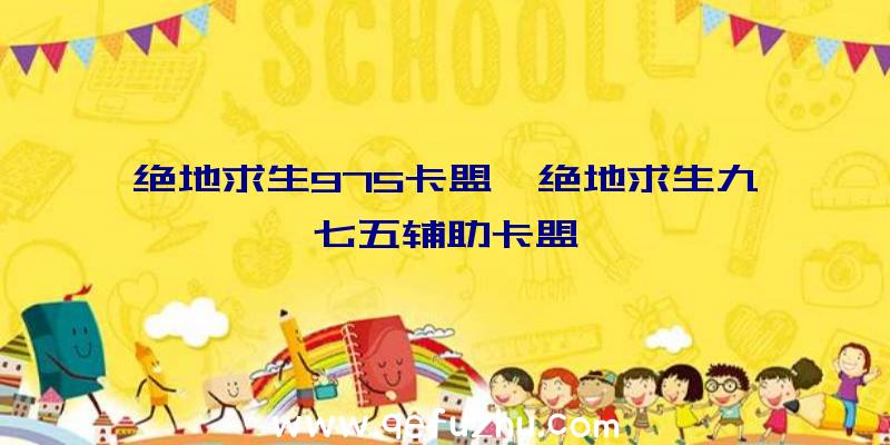 绝地求生975卡盟、绝地求生九七五辅助卡盟