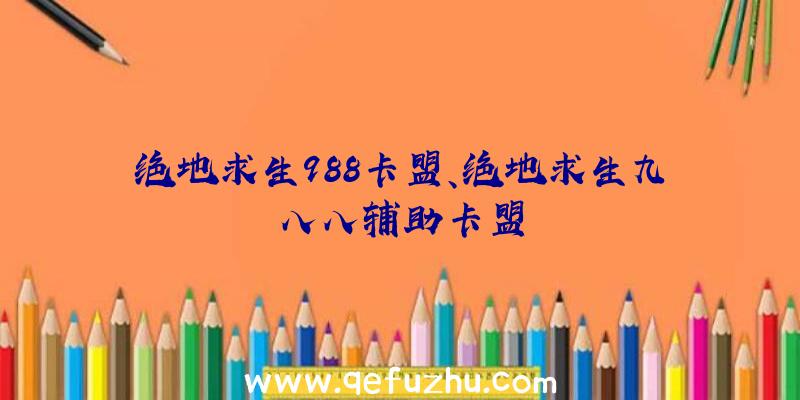 绝地求生988卡盟、绝地求生九八八辅助卡盟