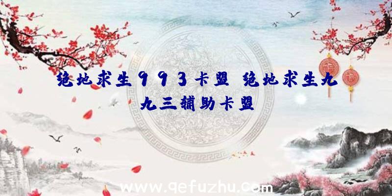 绝地求生993卡盟、绝地求生九九三辅助卡盟