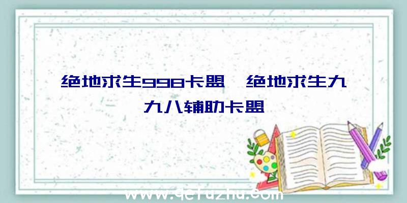 绝地求生998卡盟、绝地求生九九八辅助卡盟