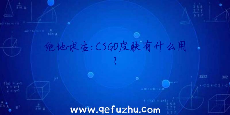 绝地求生:CSGO皮肤有什么用？