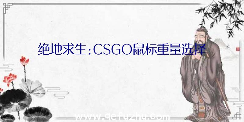 绝地求生:CSGO鼠标重量选择