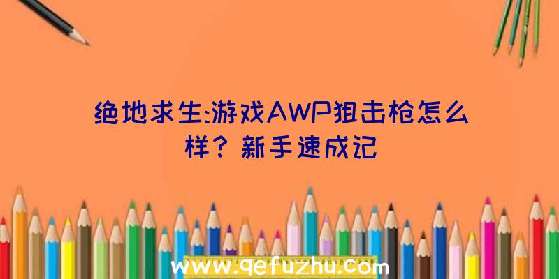 绝地求生:游戏AWP狙击枪怎么样？新手速成记