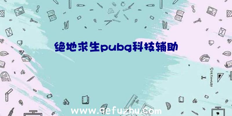 绝地求生pubg科技辅助