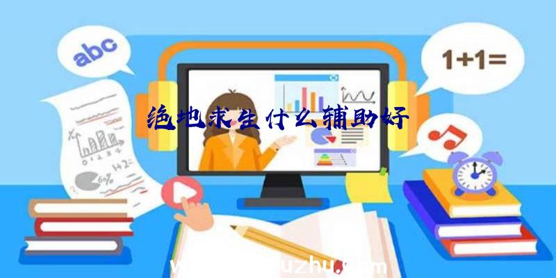 绝地求生什么辅助好